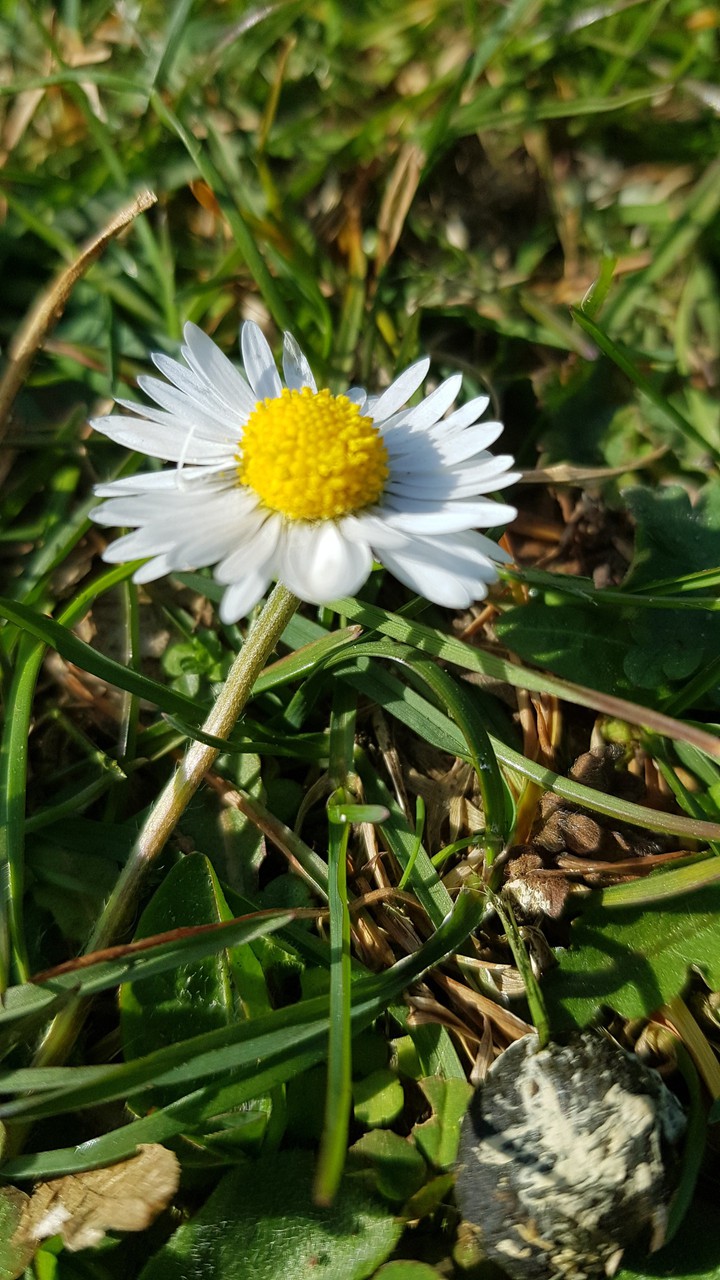 Frühling