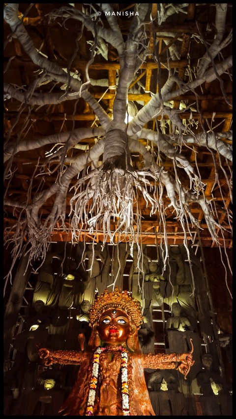 Festival, ceiling wallpapers