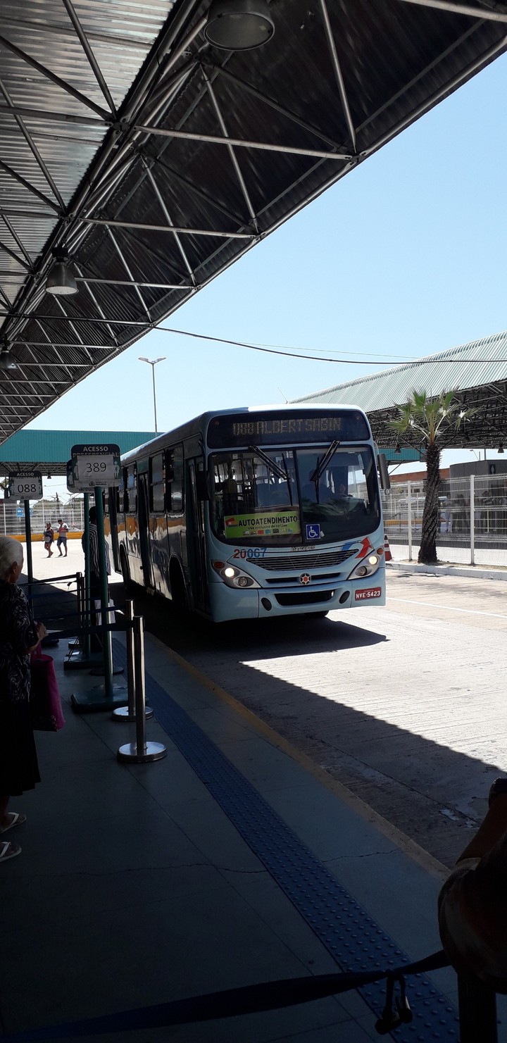 Blue Bus - Fortaleza - CE