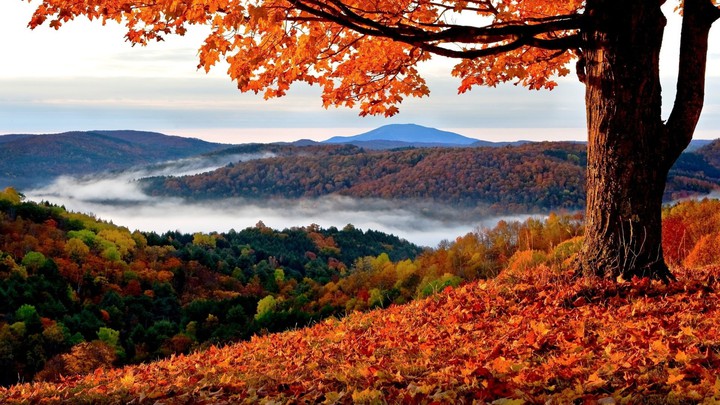 beautiful landscape