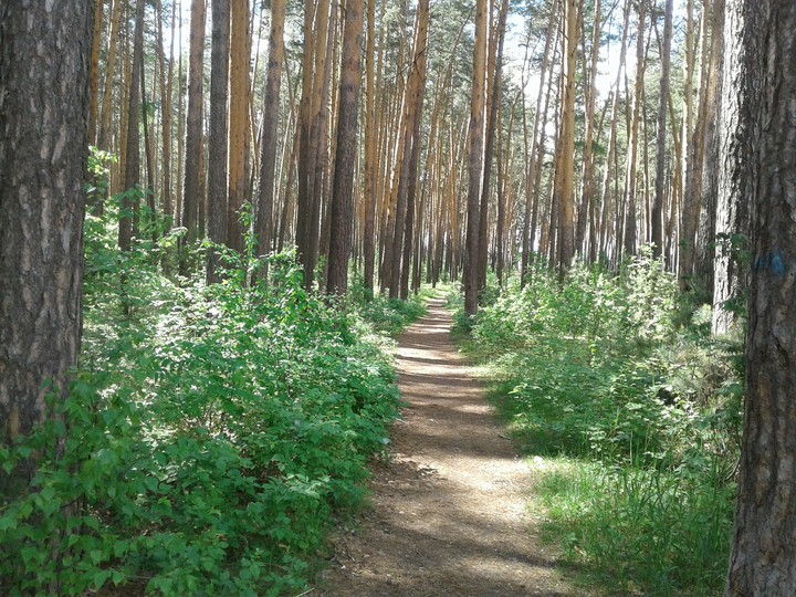 Park