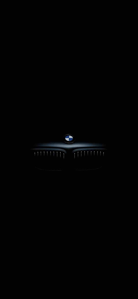 BMW logo
