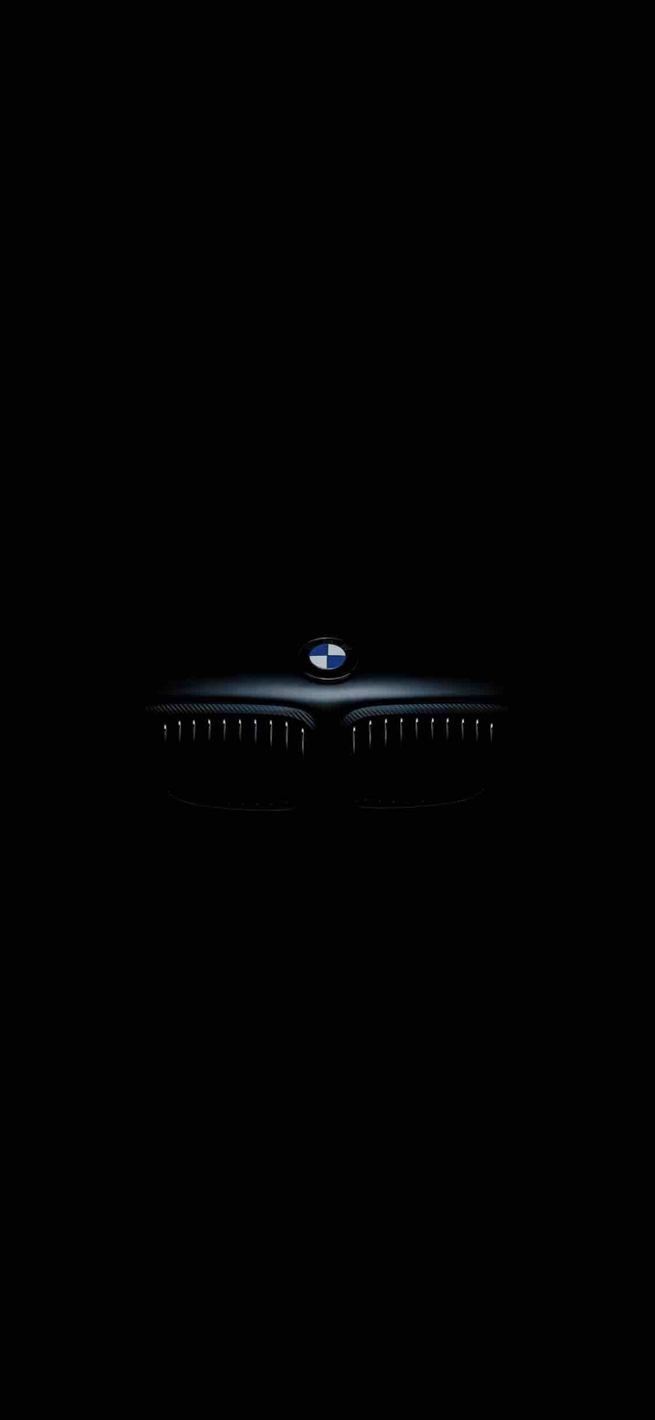 BMW logo