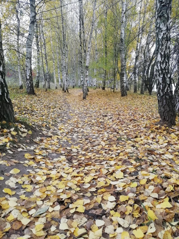 autumn