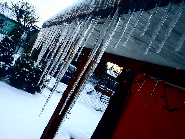 winter
