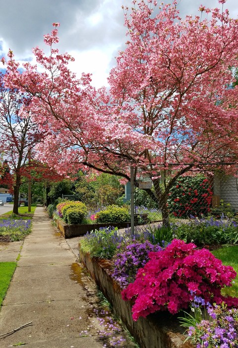 spring 2018