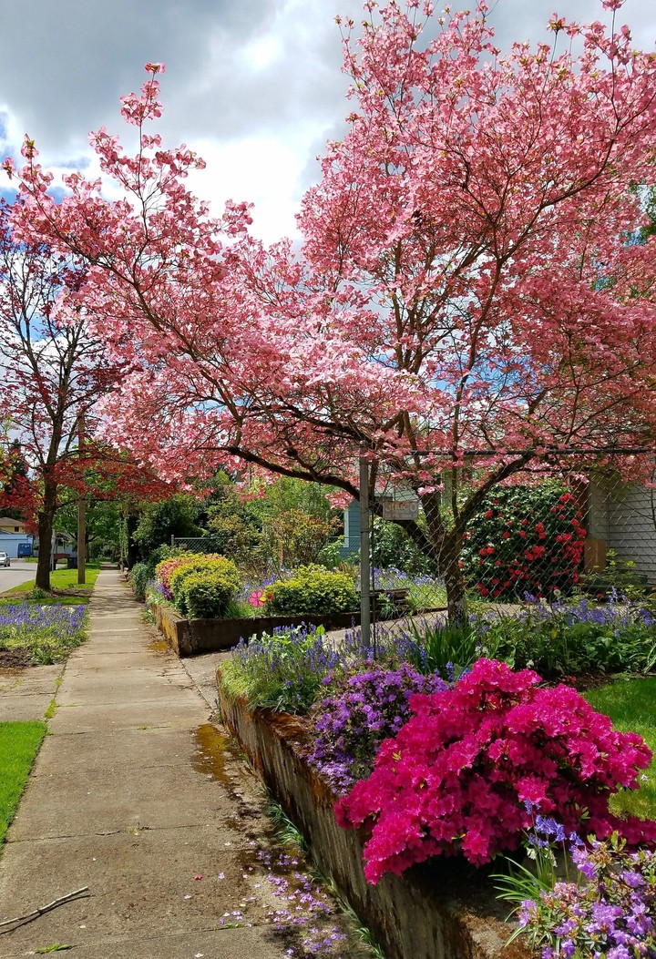 spring 2018