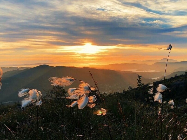 mountain