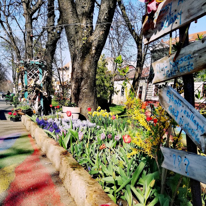 spring