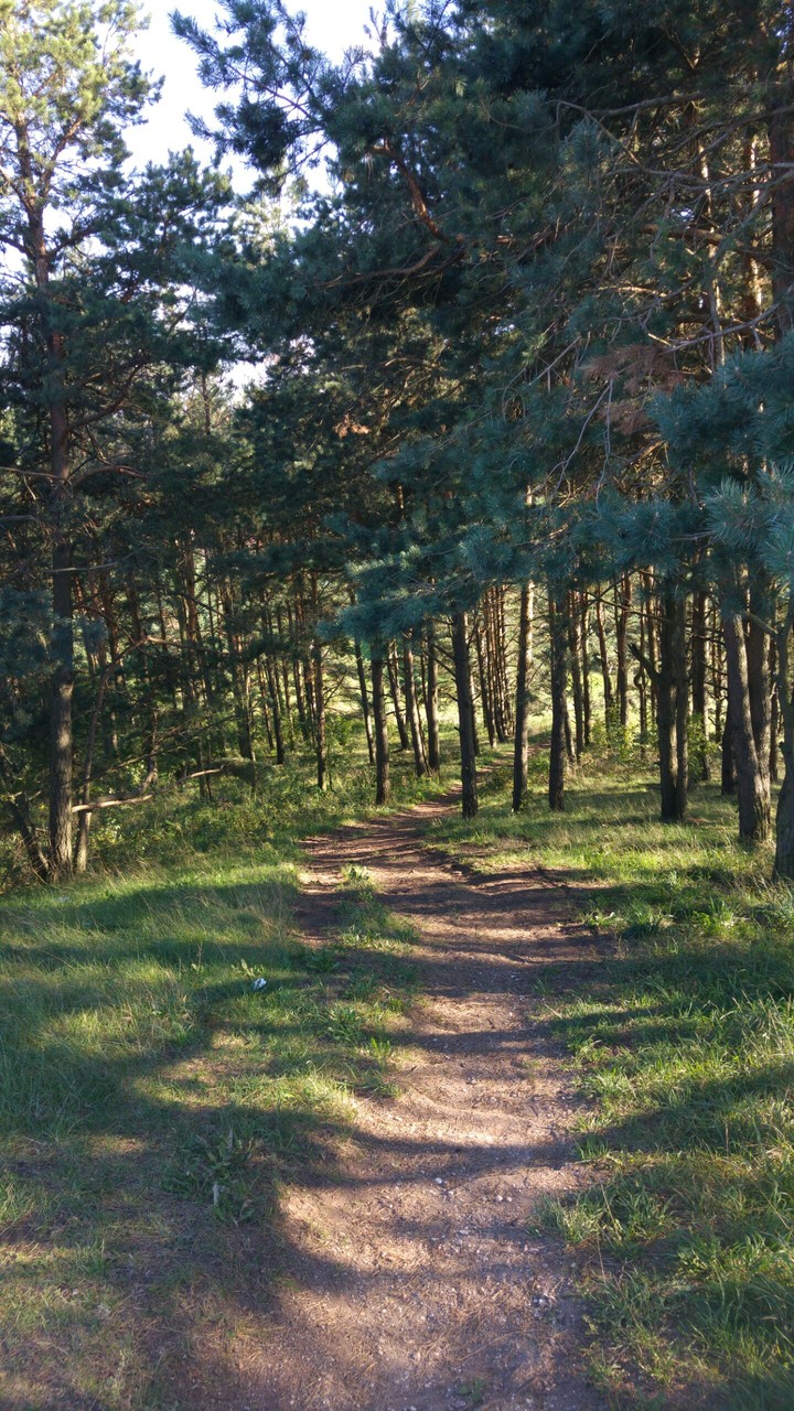 Path on Mount Cisowa