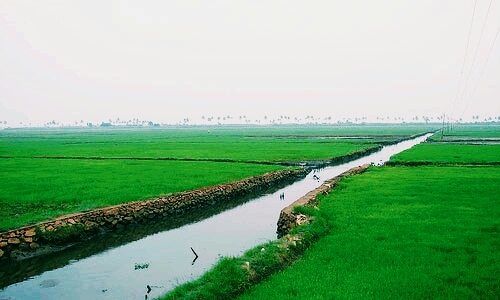 kuttanad