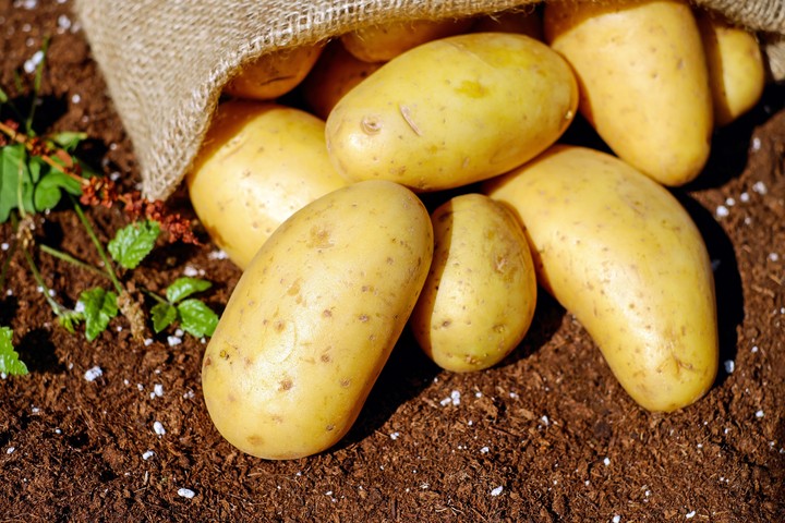 ✌ potatos☄☄☄