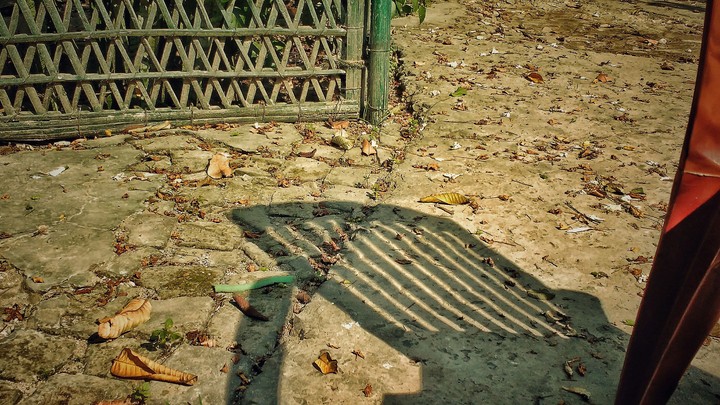 Shadow