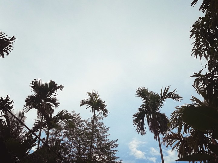 NATURE...