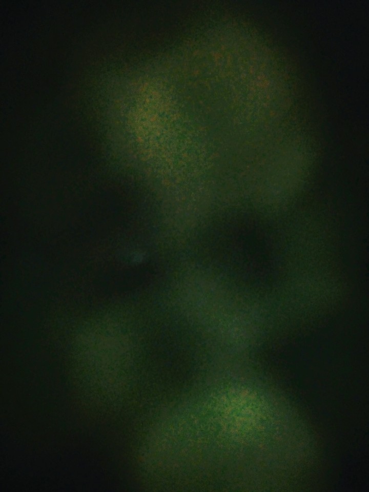 What do you see?