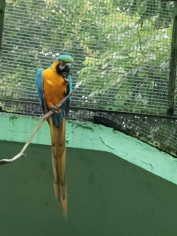 .