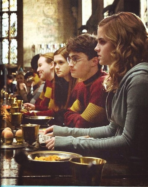 harry potter