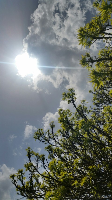 TO THE SKY