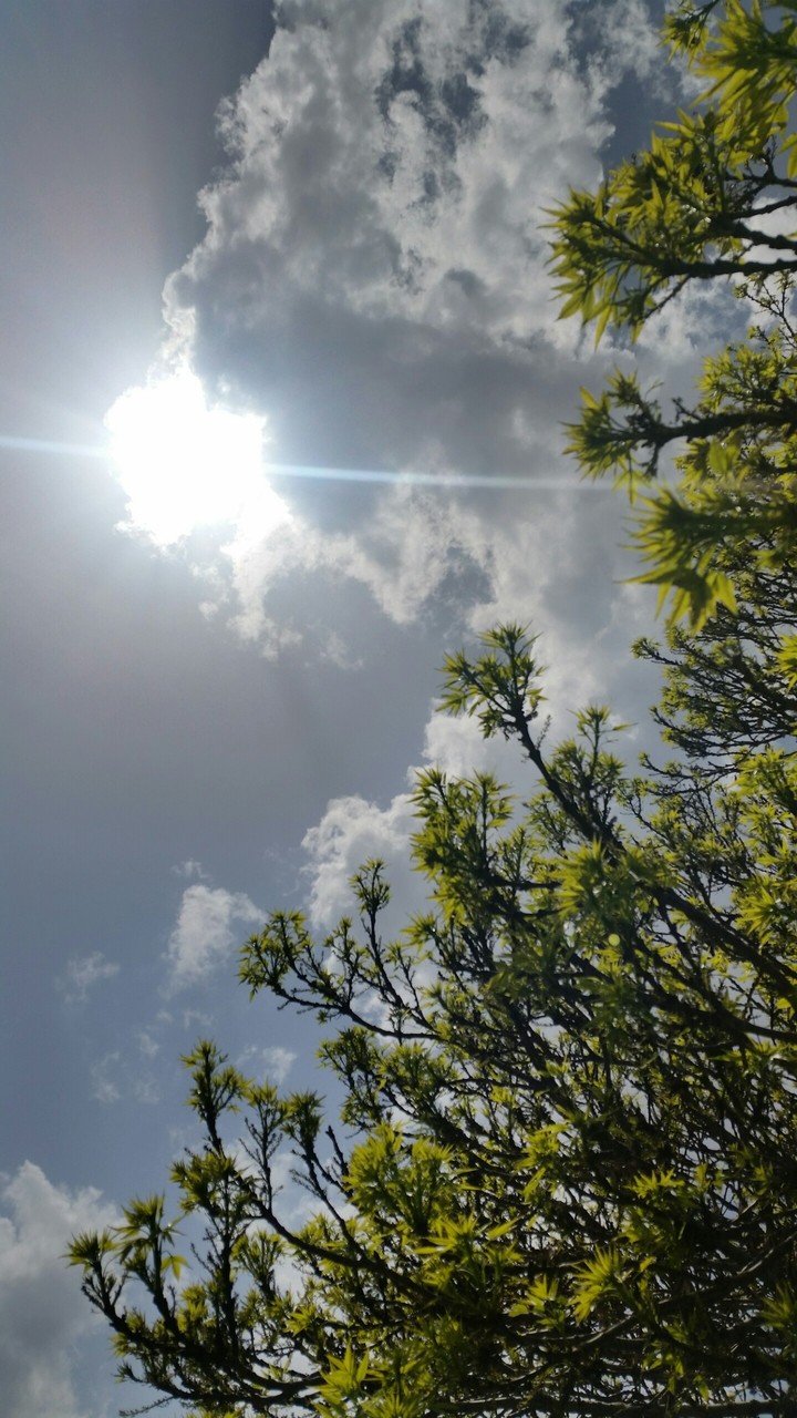 TO THE SKY