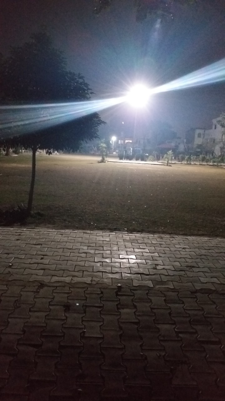 shine a light