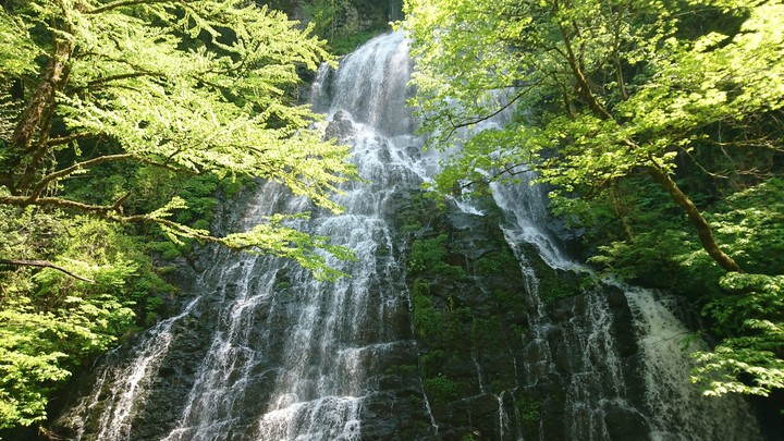 滝
