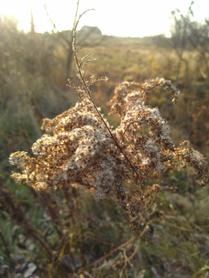 November