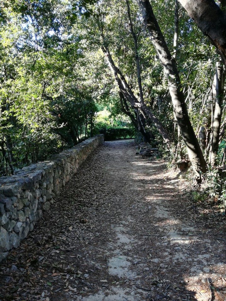 Natura