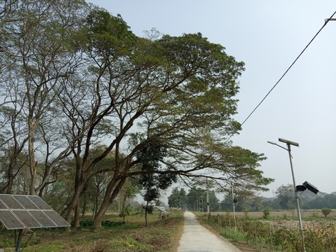 path