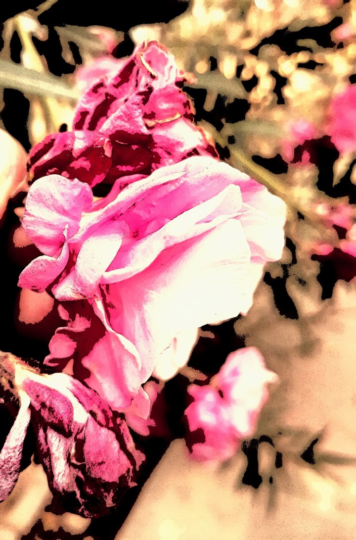 flower