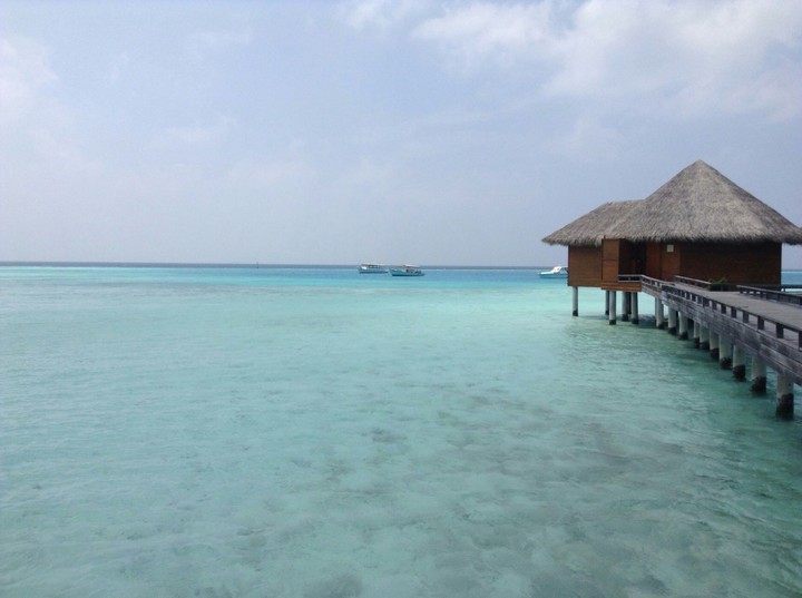 Paradise