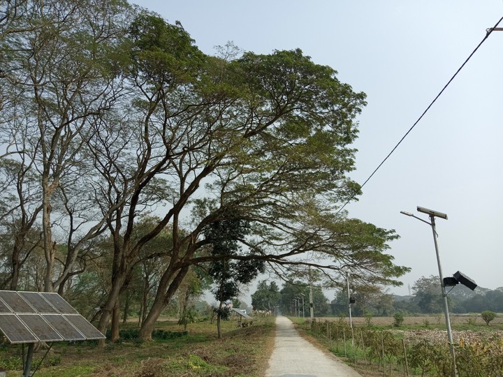 path