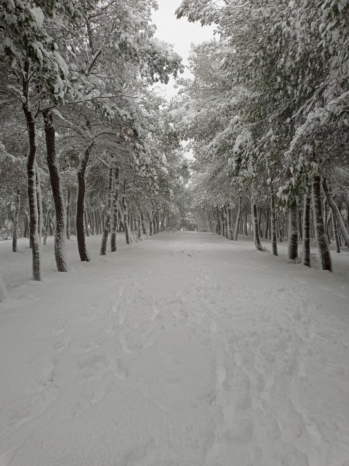 Snow