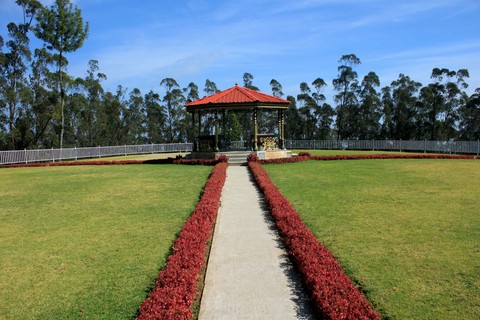 view point