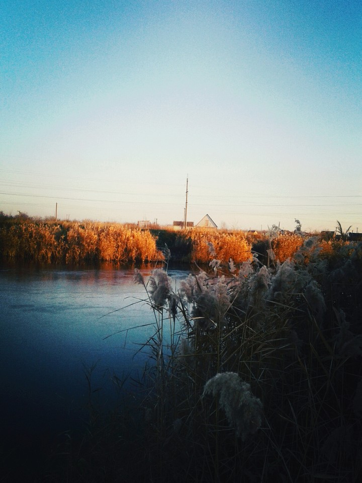 природа