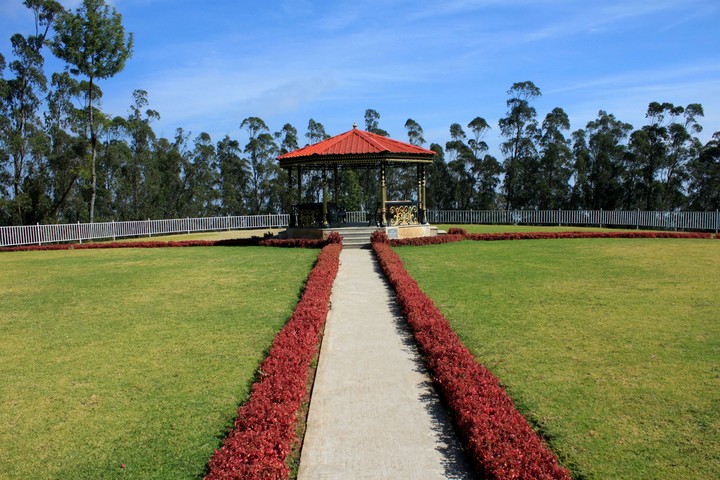 view point