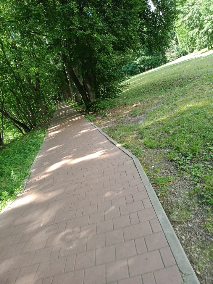 лес