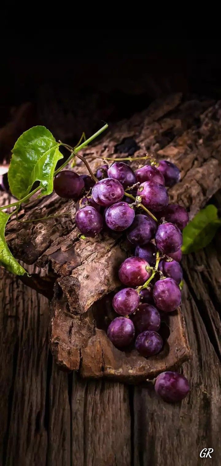 GR❤️