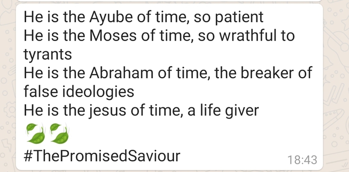 thePromisedSaviour