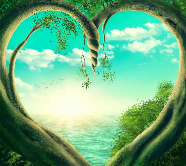 Love