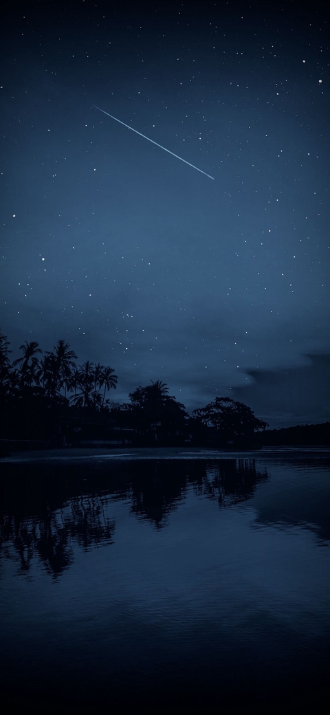 Night
