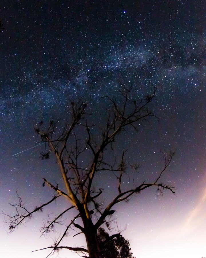 stars