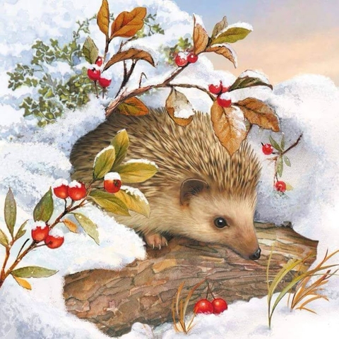 tapety holly, hedgehog
