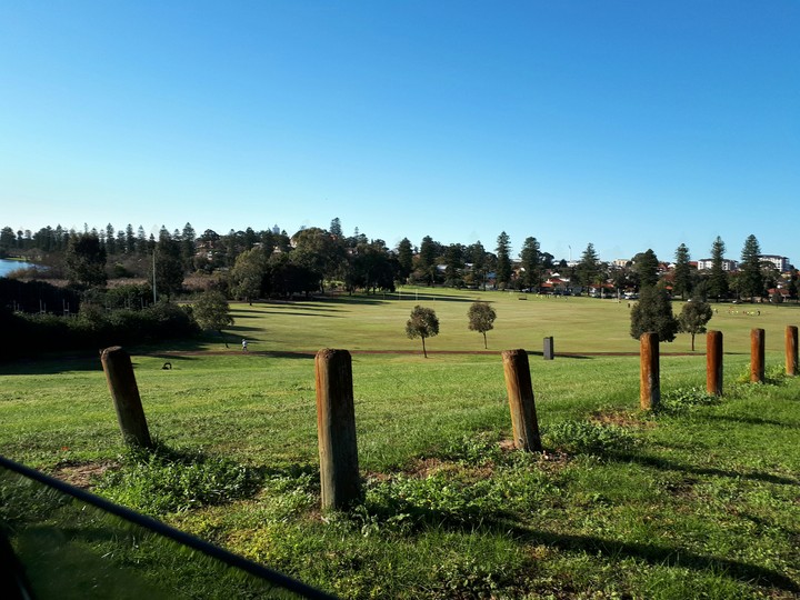 Lake Monger Reserve