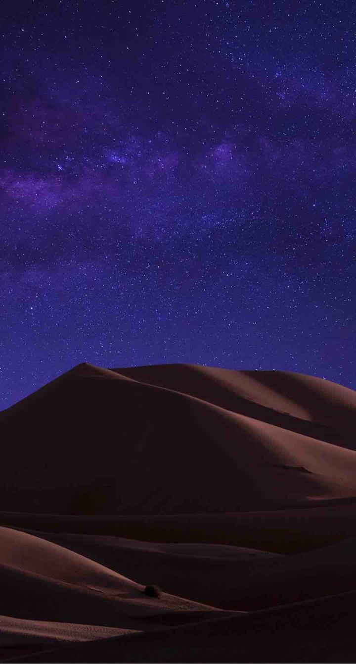 Desert night