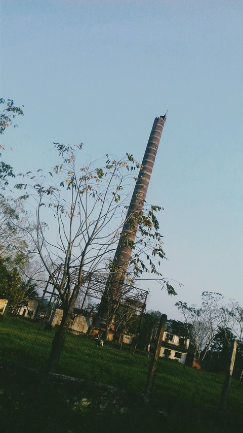 Viejo