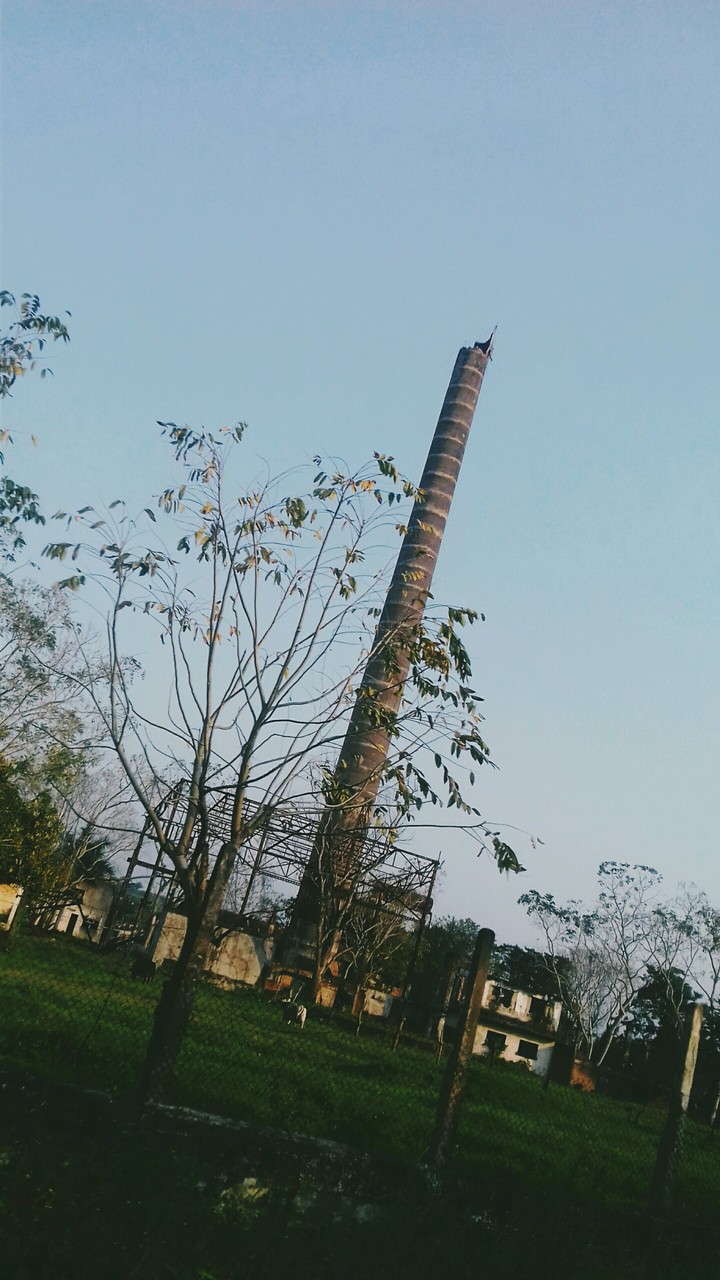 Viejo