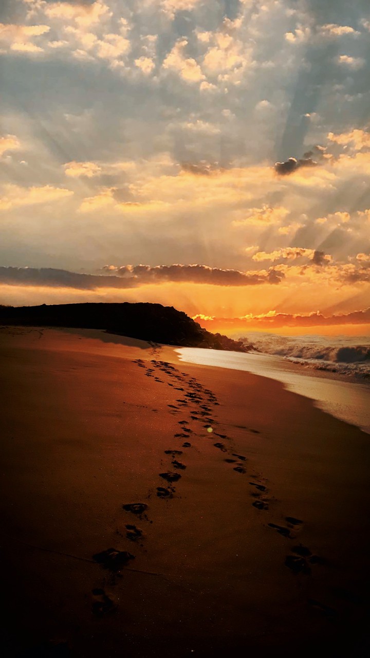 Path to the Light
