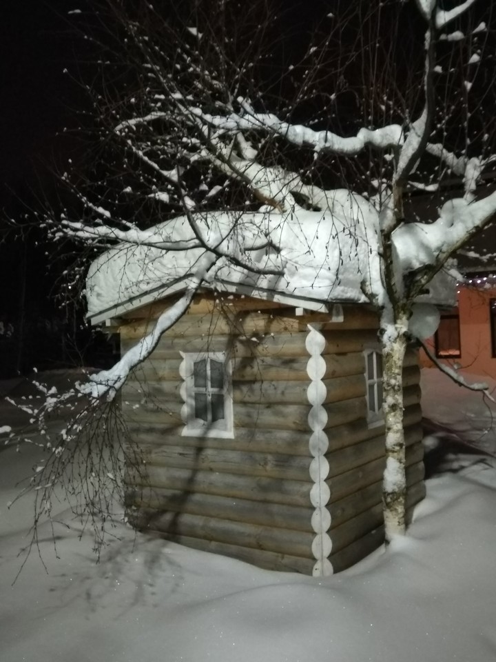 домик почти на дереве