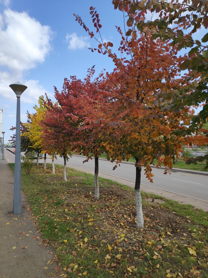 autumn