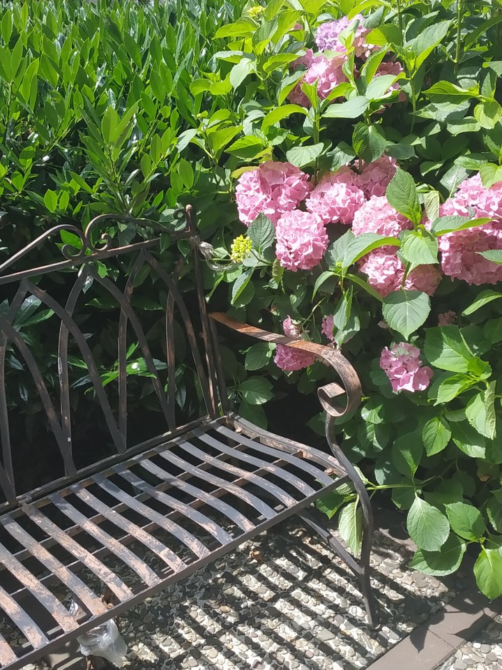 place to rest in the sun